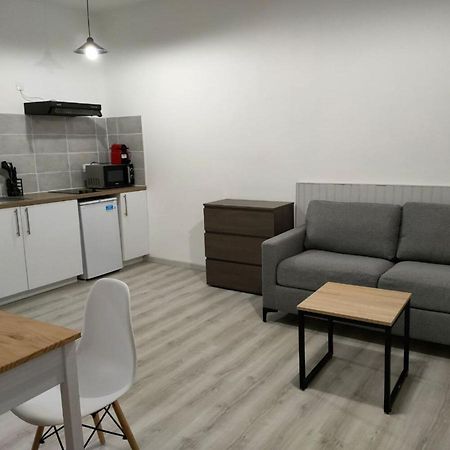 Apartmán Saint Etienne Studio Lot 8 Toulouse Exteriér fotografie